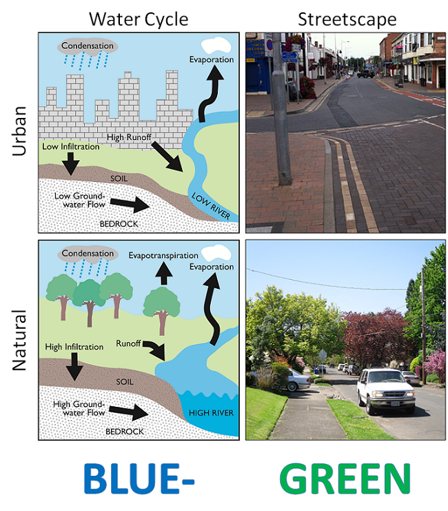 Comparison of hydrologic (water cycle) and environmental (streetscape) attributes in conventional (upper) and Blue-Green Cities