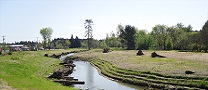 Photograph of a river restoration project in Portland, OR.