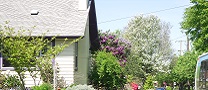 Photograph of green streets in residential area, Portland, OR.