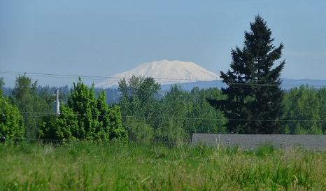 Photograph of Mount St. Helens behind the tree line, Portland, OR