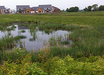 Photograph of Newcastle SuDS (storage pond)