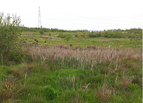 A photograph of Newcastle SuDS (storage pond), 2013