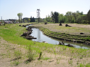 Photograph of natural flood defences (woody-debris and stepped banks) along Johnson Creek, Portland, OR.