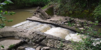 Photograph of a fish ladder in Johnson Creek, Portland, OR.
