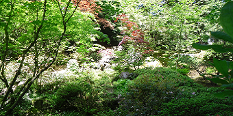 Photograph of the Japanese garden in Portland, OR.