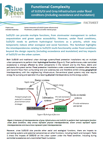Functional complexity of SuDS/GI factsheet (PDF 477 KB)