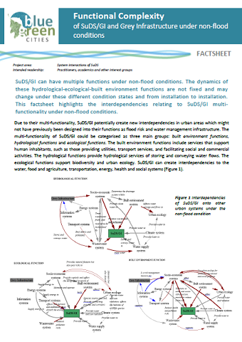 Functional complexity during non-flood conditions factsheet (PDF 717 KB)