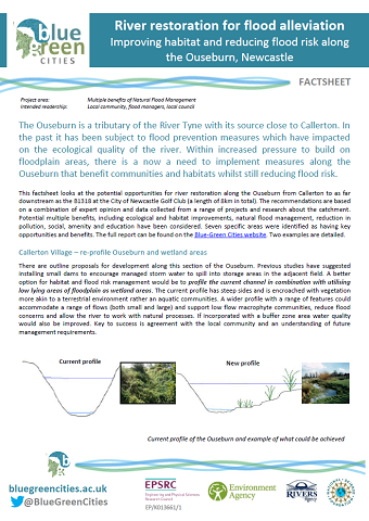 River Restoration on the Ouseburn factsheet (PDF 752 KB)