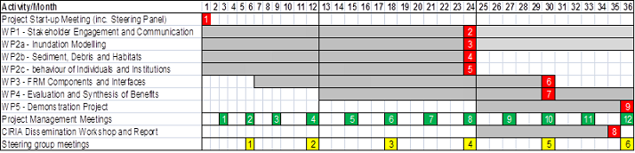 Project time chart showing activities, meetings and key milestones