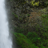 Horsetail Waterfall, Portland forest.