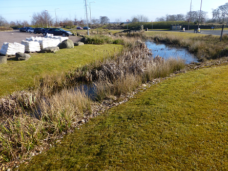 Photograph of the SuDS treatment train at the J4M8 Business Park, Edinburgh, UK.