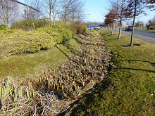 Photograph of the SuDS treatment train at the J4M8 Business Park, Edinburgh, UK.