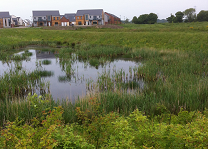 Photograph of SuDS scheme in Newcastle, UK.