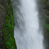 Horsetail Waterfall, Portland forest.